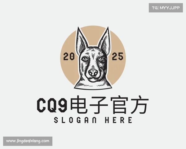 解读cq9试玩官网入口